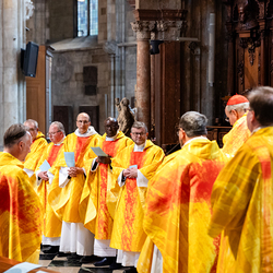 Priesterjubiläen / Erzdiözese Wien/ Schönlaub
