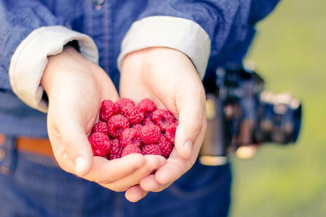 12 Früchte des Heiligen Geistes: Die Frucht des Friedens