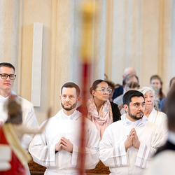 Erzdiözese Wien/Schönlaub, Stephan Schönlaub