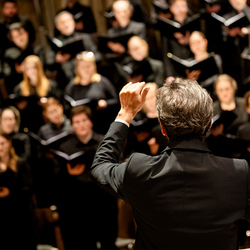 2025 Gründonnerstag / Erzdiözese Wien/Schönlaub, Stephan Schönlaub