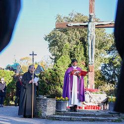 Erzdiözese Wien/Schönlaub