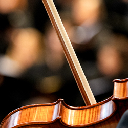 Allerheiligen Stephansdom / Erzdiözese Wien/Schönlaub, Stephan Schönlaub Allerheiligen Stephansdom