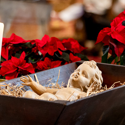 Stephanifest / Erzdiözese Wien/Schönlaub, Stephan Schönlaub