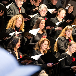 Te-Deum Papst Leo XIV / Erzdiözese Wien/Schönlaub, Stephan Schönlaub