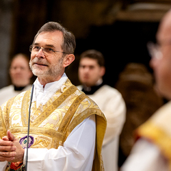 Allerheiligen Stephansdom / Erzdiözese Wien/Schönlaub, Stephan Schönlaub Allerheiligen Stephansdom