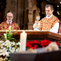 Stephanifest / Erzdiözese Wien/Schönlaub, Stephan Schönlaub
