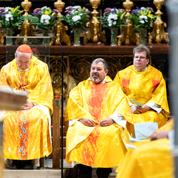 Priesterjubiläen / Erzdiözese Wien/ Schönlaub