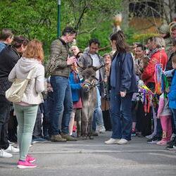 Palmsonntag Pfarre Heilige Mutter Teresa / Erzdiözese Wien/Feuchtner