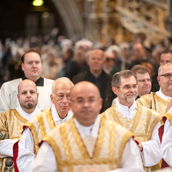 Allerheiligen Stephansdom / Erzdiözese Wien/Schönlaub, Stephan Schönlaub Allerheiligen Stephansdom