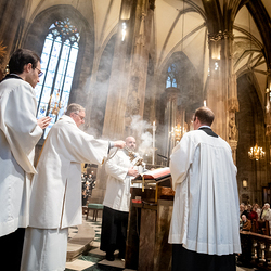 2025 Gründonnerstag / Erzdiözese Wien/Schönlaub, Stephan Schönlaub