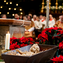 Stephanifest / Erzdiözese Wien/Schönlaub, Stephan Schönlaub