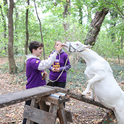 Dies & Das im Therapiehof Regenbogental